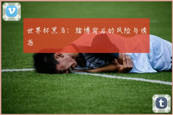 世界杯黑马：赌博背后的风险与诱惑